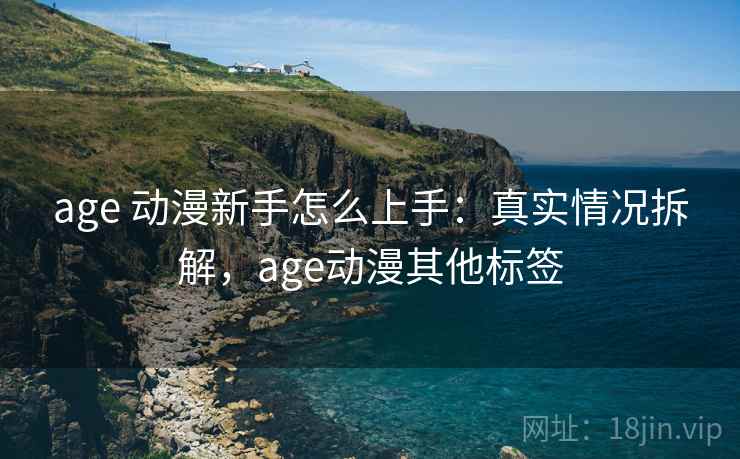 age 动漫新手怎么上手：真实情况拆解，age动漫其他标签