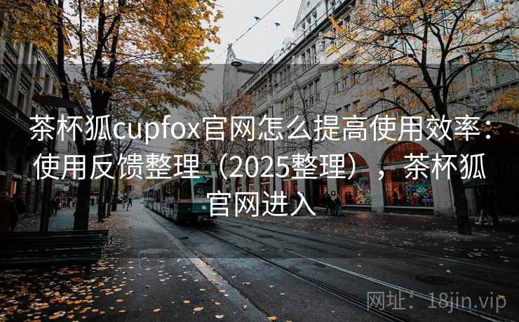 茶杯狐cupfox官网怎么提高使用效率：使用反馈整理（2025整理），茶杯狐官网进入