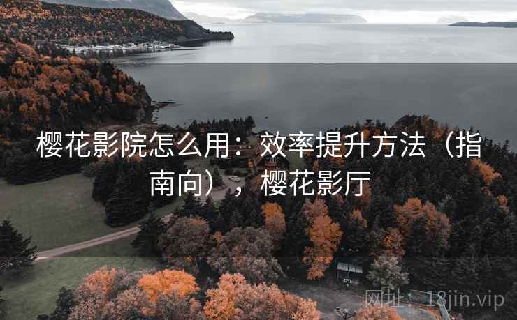 樱花影院怎么用：效率提升方法（指南向），樱花影厅