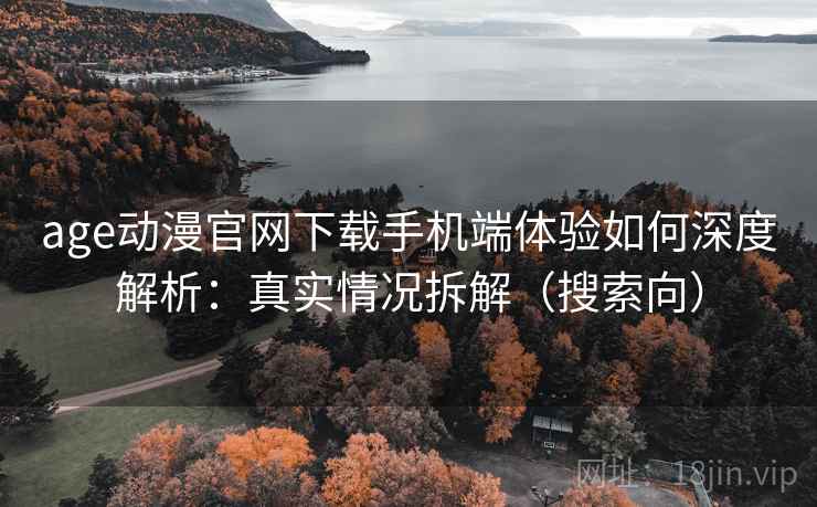 age动漫官网下载手机端体验如何深度解析：真实情况拆解（搜索向）