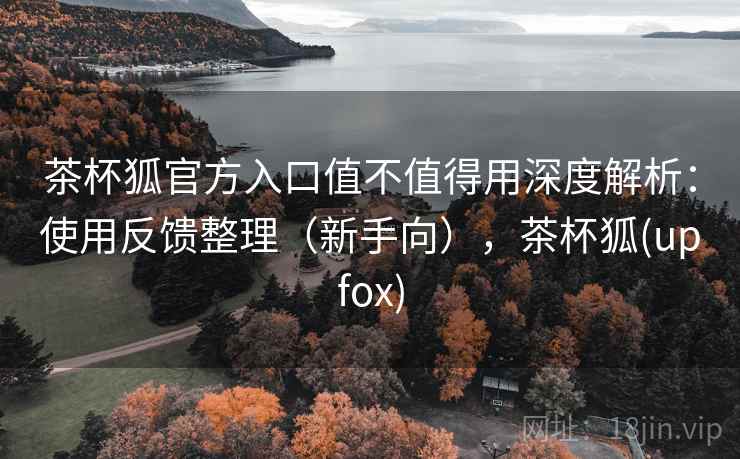 茶杯狐官方入口值不值得用深度解析：使用反馈整理（新手向），茶杯狐(upfox)