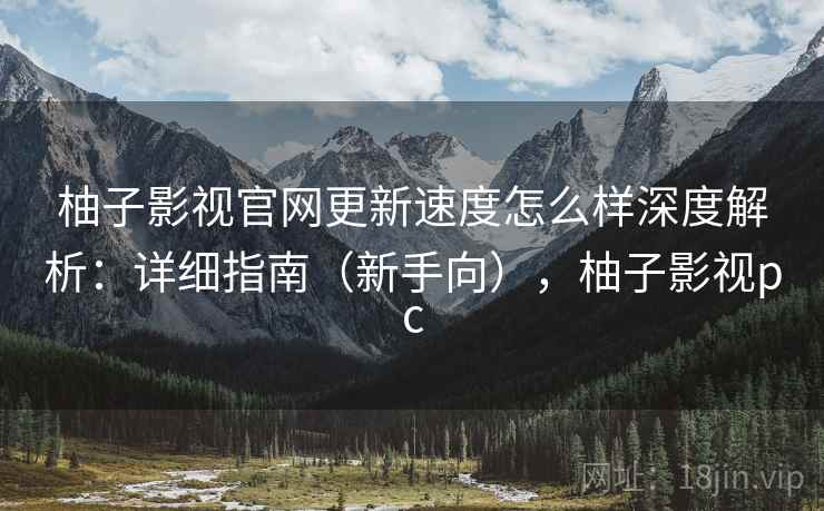 柚子影视官网更新速度怎么样深度解析：详细指南（新手向），柚子影视pc
