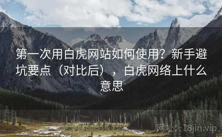 第一次用白虎网站如何使用？新手避坑要点（对比后），白虎网络上什么意思